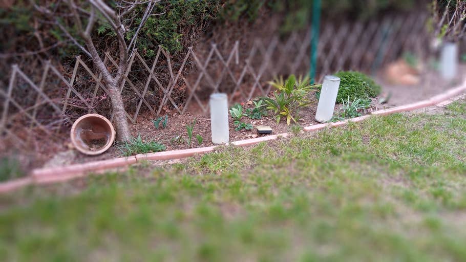 Die Bokeh-Effekte des Sony Xperia L3.