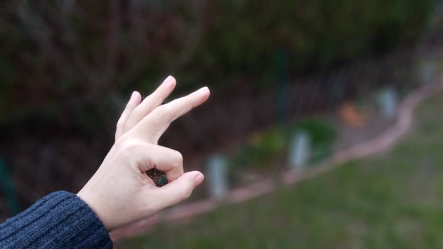 Die Bokeh-Effekte des Sony Xperia L3.