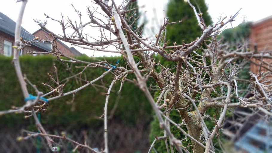 Die Bokeh-Effekte des Sony Xperia L3.