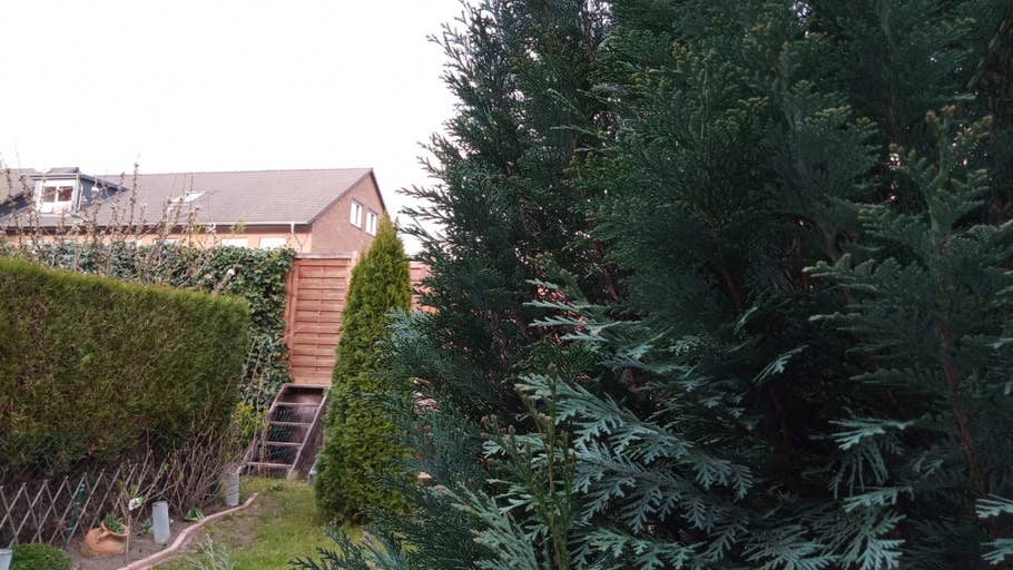 Diese Foto-Qualität bietet das Sony Xperia L3.