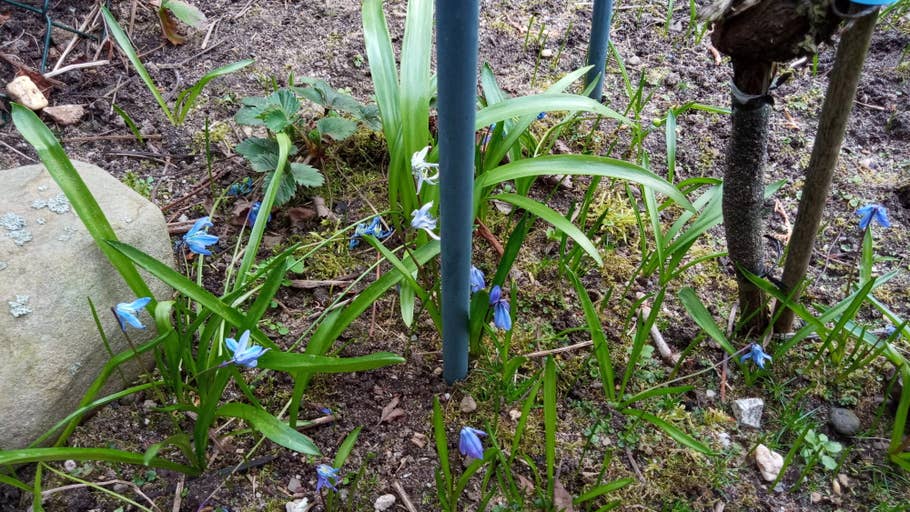 Diese Foto-Qualität bietet das Sony Xperia L3.