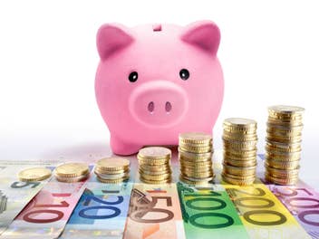 Sparschwein steht vor Euro-Münzen und Euro-Geldnoten.