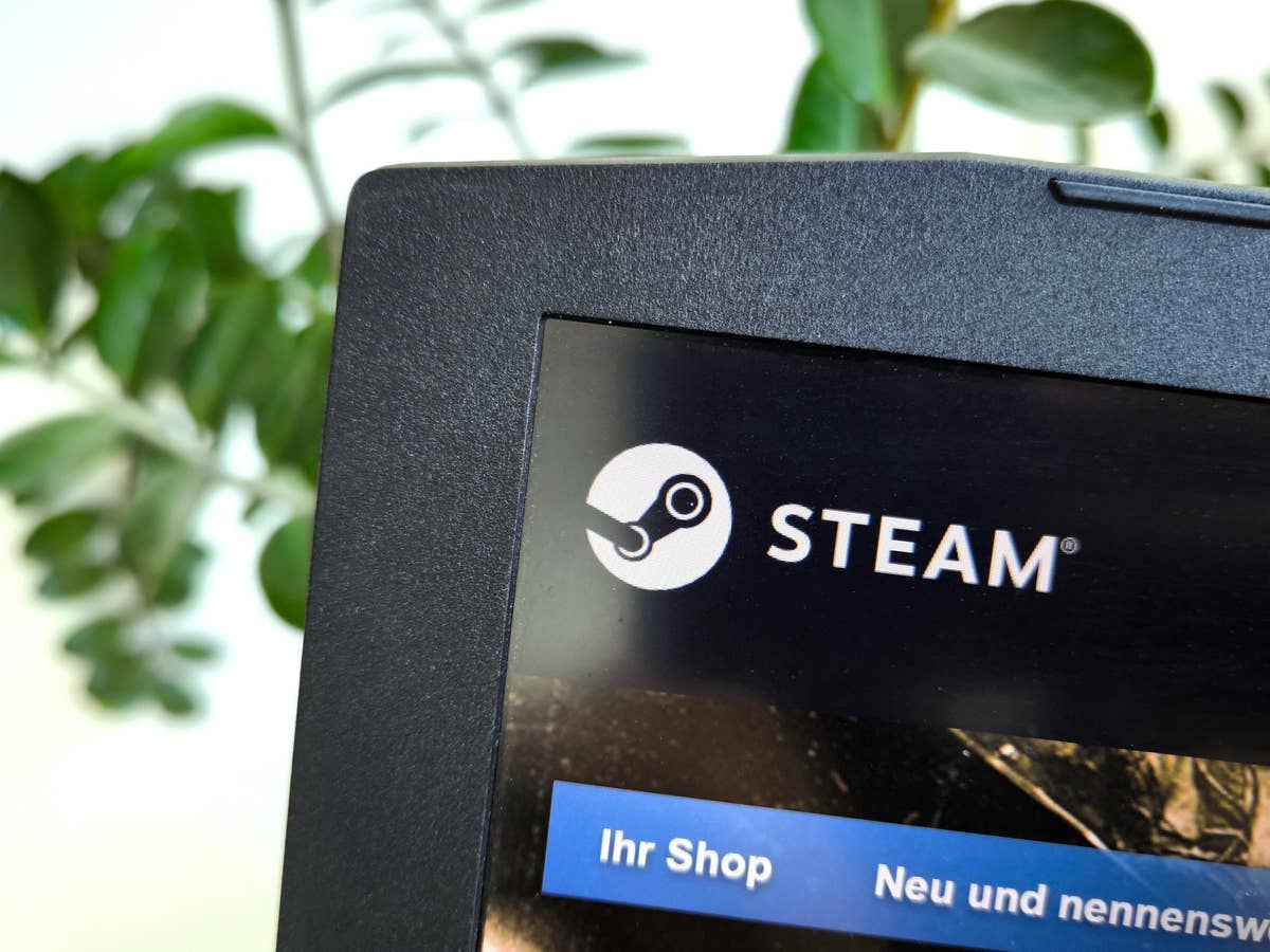 Betrug, Steam, Phishing