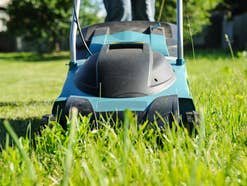Stiftung Warentest testet Akku-Rasenmäher: Drei sind Akku-Rasenmäher mäht durch hohes Gras.