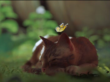 Die Katze aus Stray und ein Schmetterling.