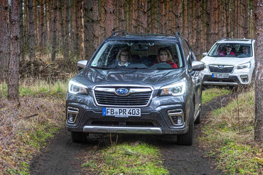Typisch SUV: Die bullige Front des Subaru Forester 2.0ie. Frontansicht des Subaru Forester 2.0ie