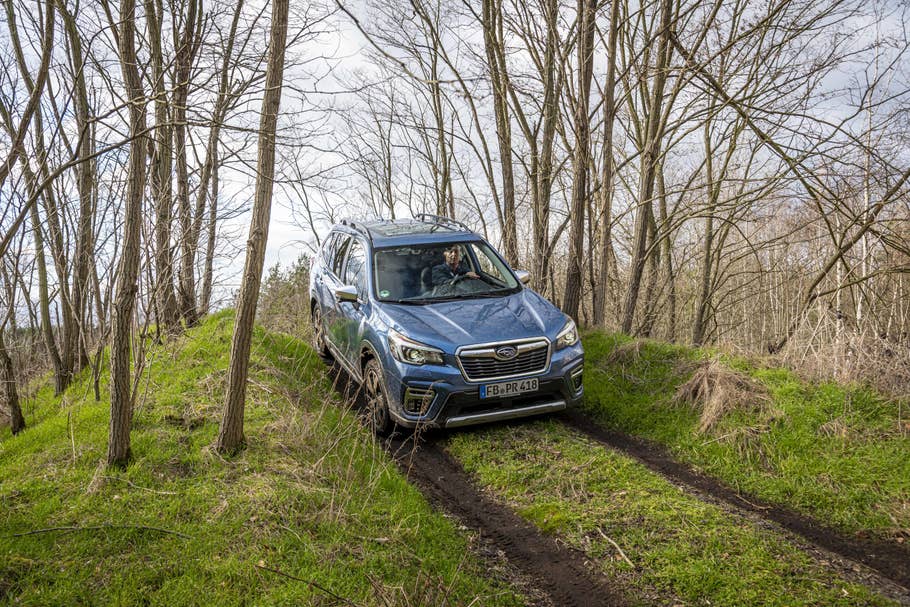 Im Wald mit dem Subaru Forester 2.0 ie