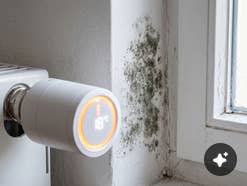 Schimmel an der Wand hinter einem Thermostat