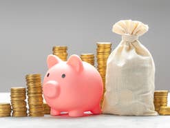 Sparschwein steht neben Münzen und neben einem Geldsack.