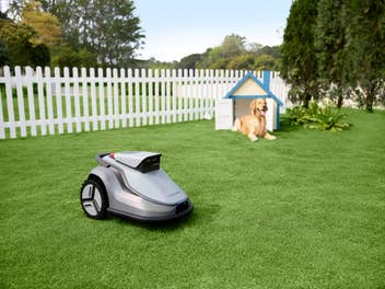 TerraMow V-Series Mähroboter in einem Garten mit einem Hund im Hintergrund.