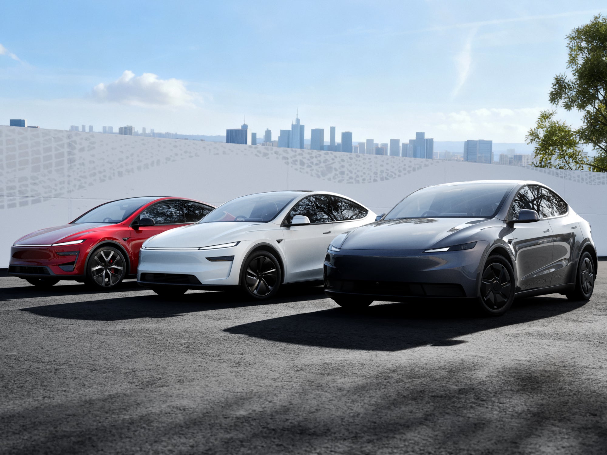 Das große Tesla-Duell: Standard oder Performance? Der ehrliche Vergleich!