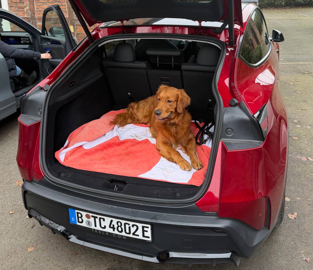 Tesla Model Y Performance AWD - Hund im Kofferraum