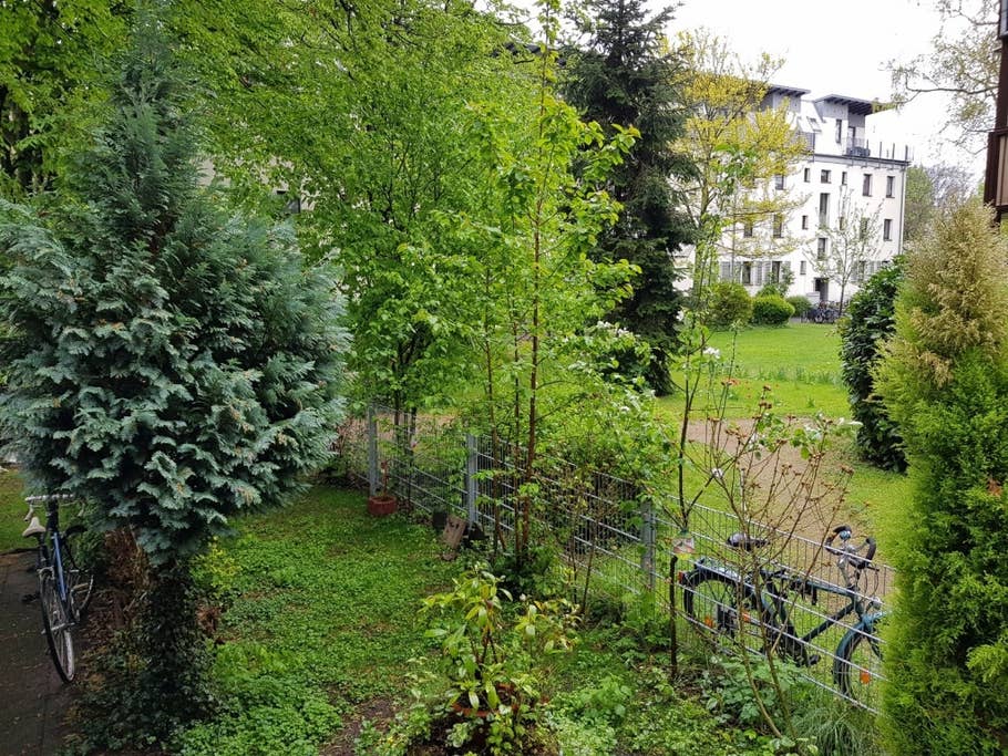 Testbilder des Samsung Galaxy S8+