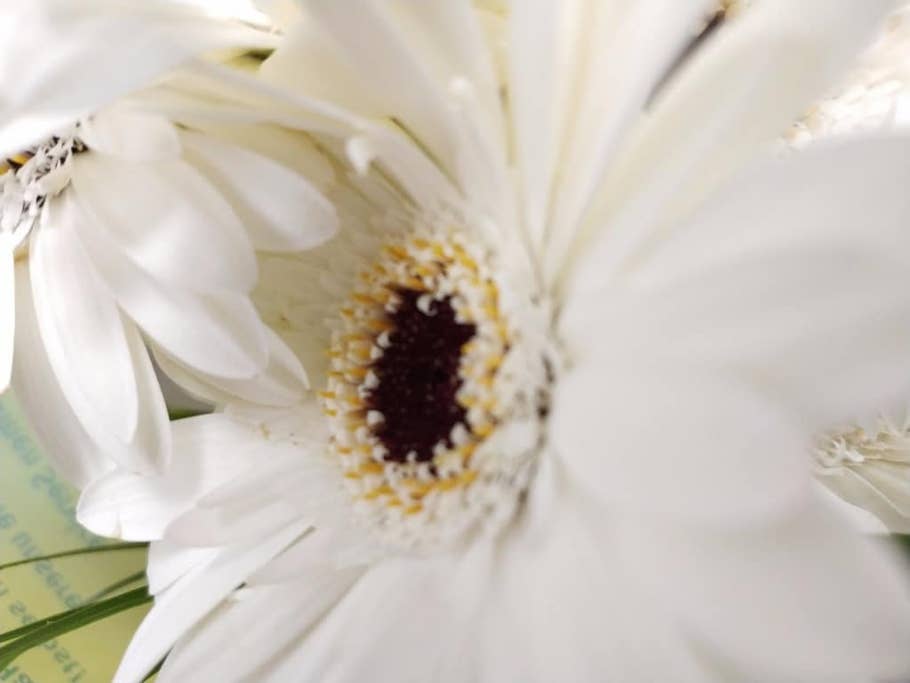 Testbilder des Xiaomi Mi Mix 2