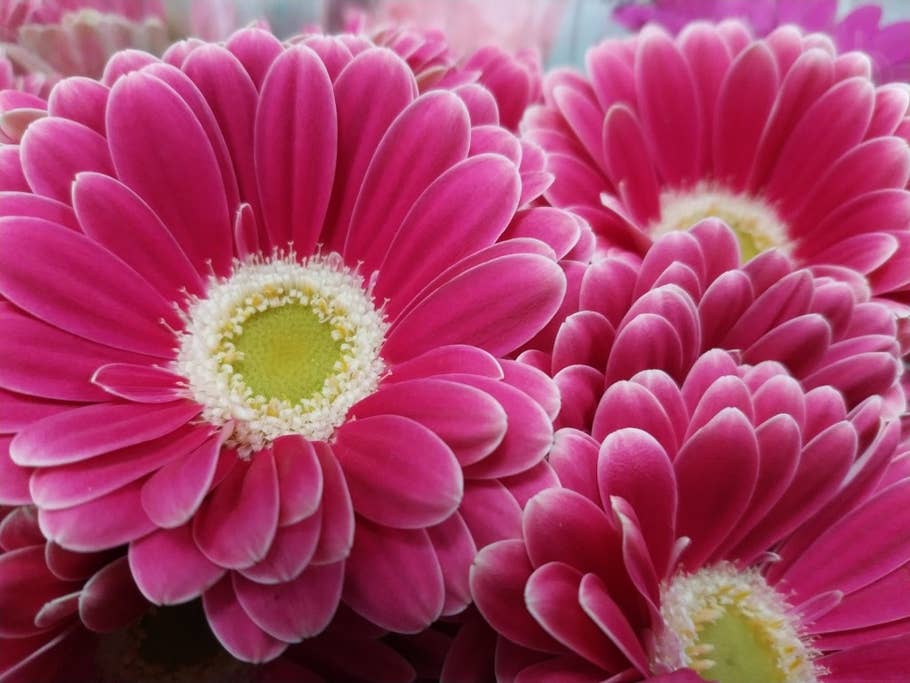 Testbilder des Xiaomi Mi Mix 2