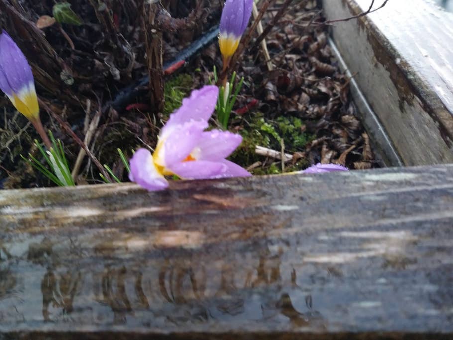 Testbilder vom LG K8 (2017)