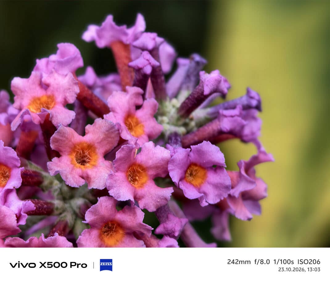 Testfoto Vivo X500 Pro - Blüte