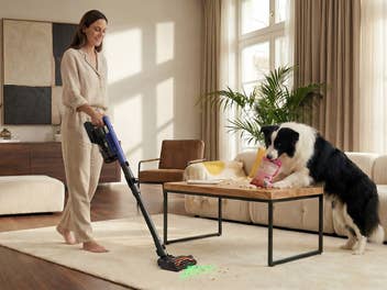 eine Frau saugt ihr Wohnzimmer während ein Hund Trockenfutter vom Couchtisch auf den Boden verstreut