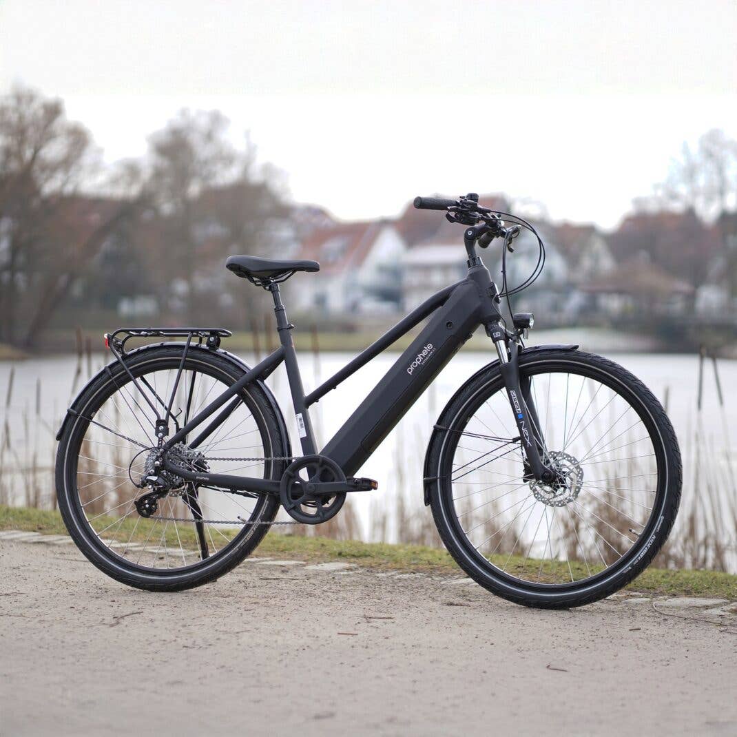 Trekking-E-Bike Entdecker 2.3 von Prophete mit tiefem Einstieg im Angebot