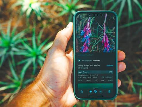 Verblüffend: Jedes iPhone hat diese geheime Funktion