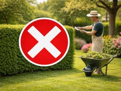 Ein KI-generiertes Bild, bei dem eine Person Gartenarbeiten durchführt