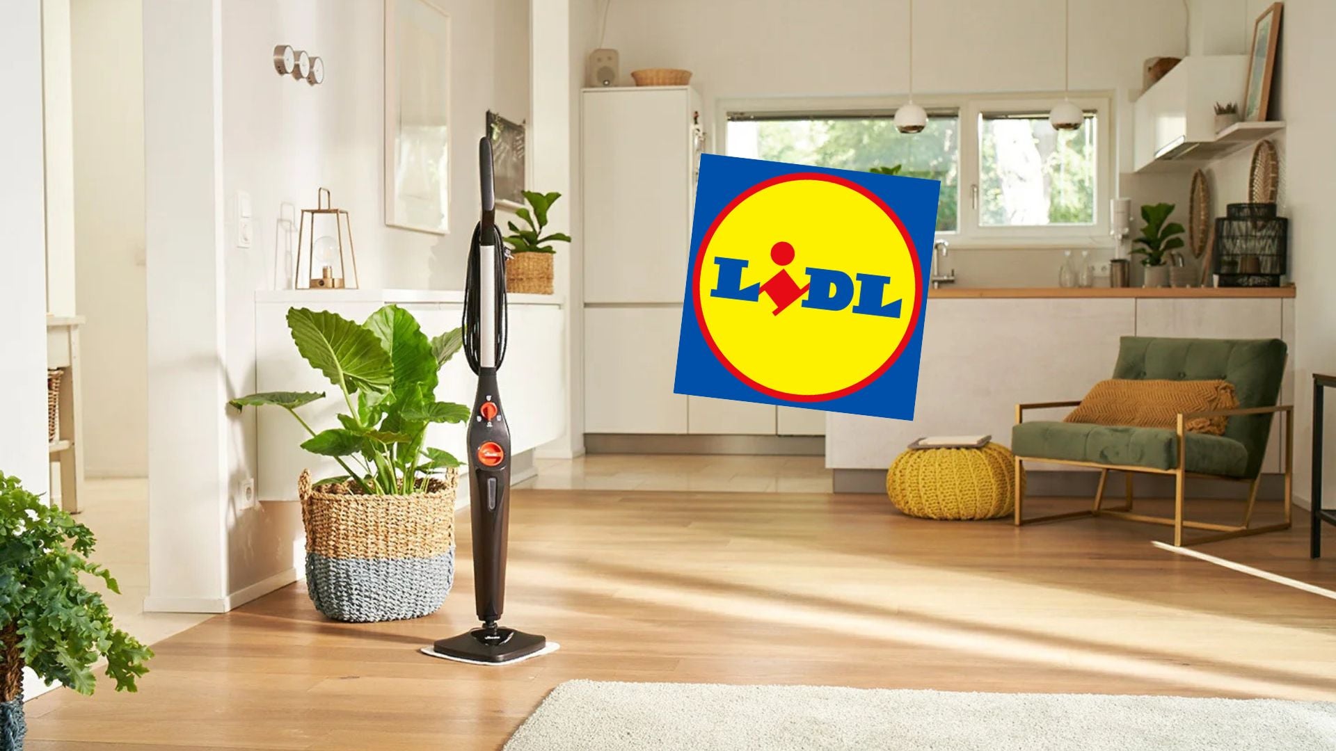 Lidl verkauft diesen Boden- und Teppichreiniger mit 56 Prozent Rabatt Lidl verkauft diesen Boden- und Teppichreiniger mit 56 Prozent Rabatt