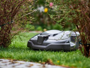 Rasenmäherroboter auf Rasen