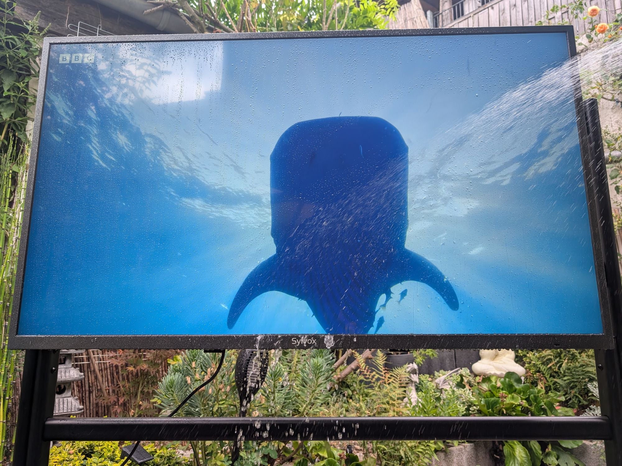 Kein Witz: Ich hab diesen 4K-TV im Test wirklich geduscht – und er funktioniert trotzdem noch!
