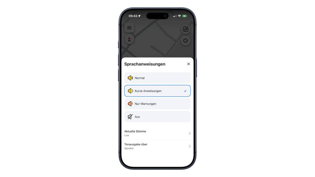 Waze-Einstellung „Sprachanweisungen“ auf einem iPhone mit ausgewählter Option „Kurze Anweisungen“