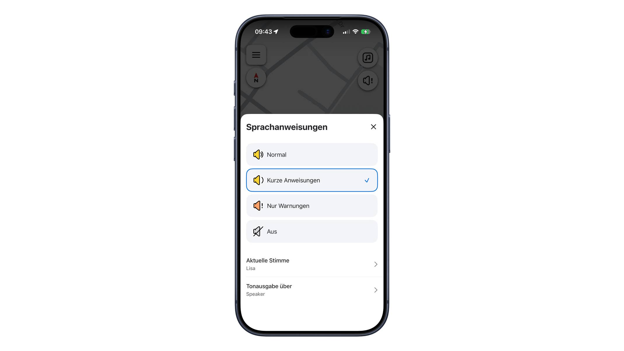 Waze-Einstellung „Sprachanweisungen“ auf einem iPhone mit ausgewählter Option „Kurze Anweisungen“
