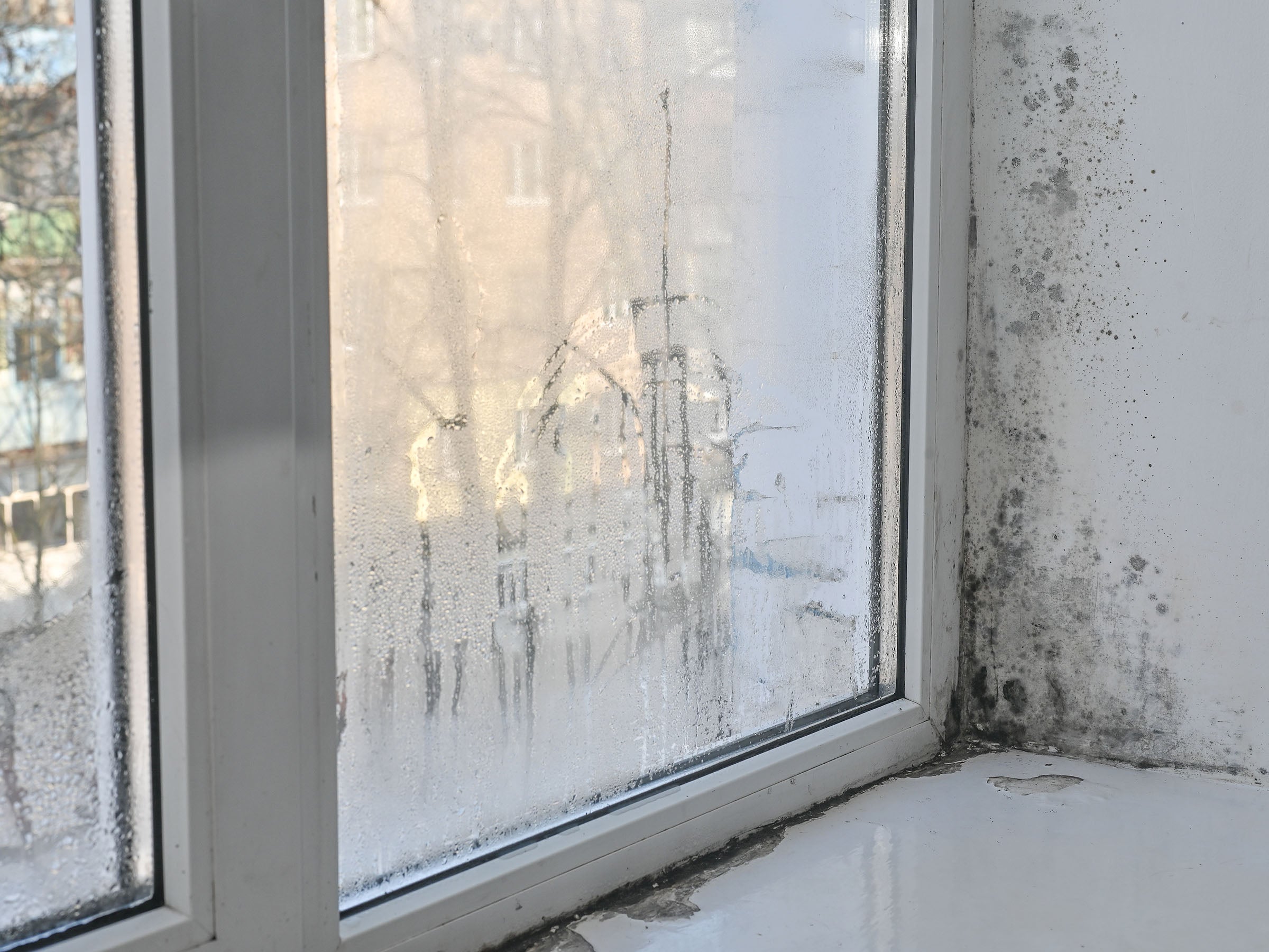 Weder-Luftentfeuchter-noch-Ventilator-n-tig-So-bek-mpfst-du-hohe-Luftfeuchtigkeit