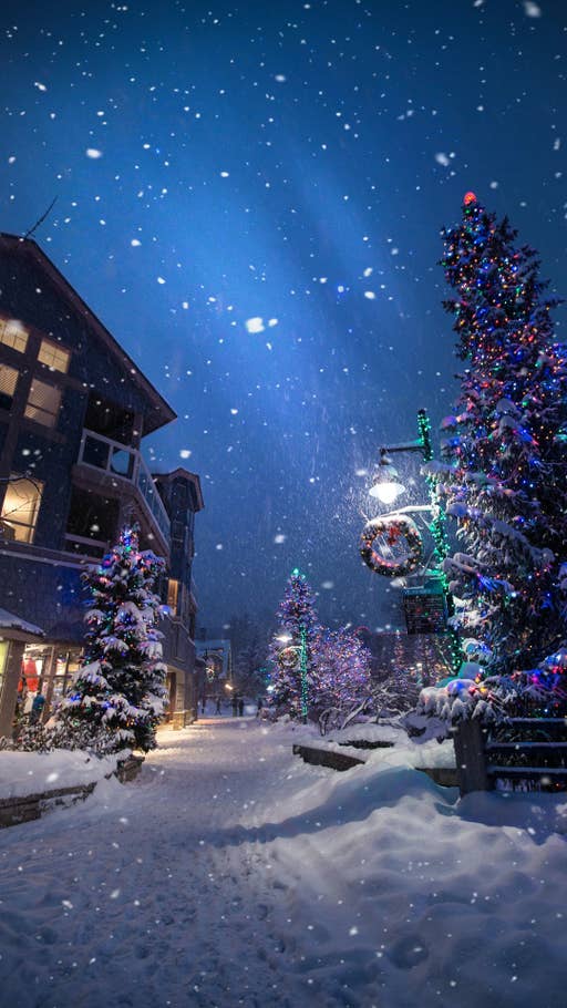 Ein Winterwunderland mit bunten Lichtern und einer Schneelandschaft.