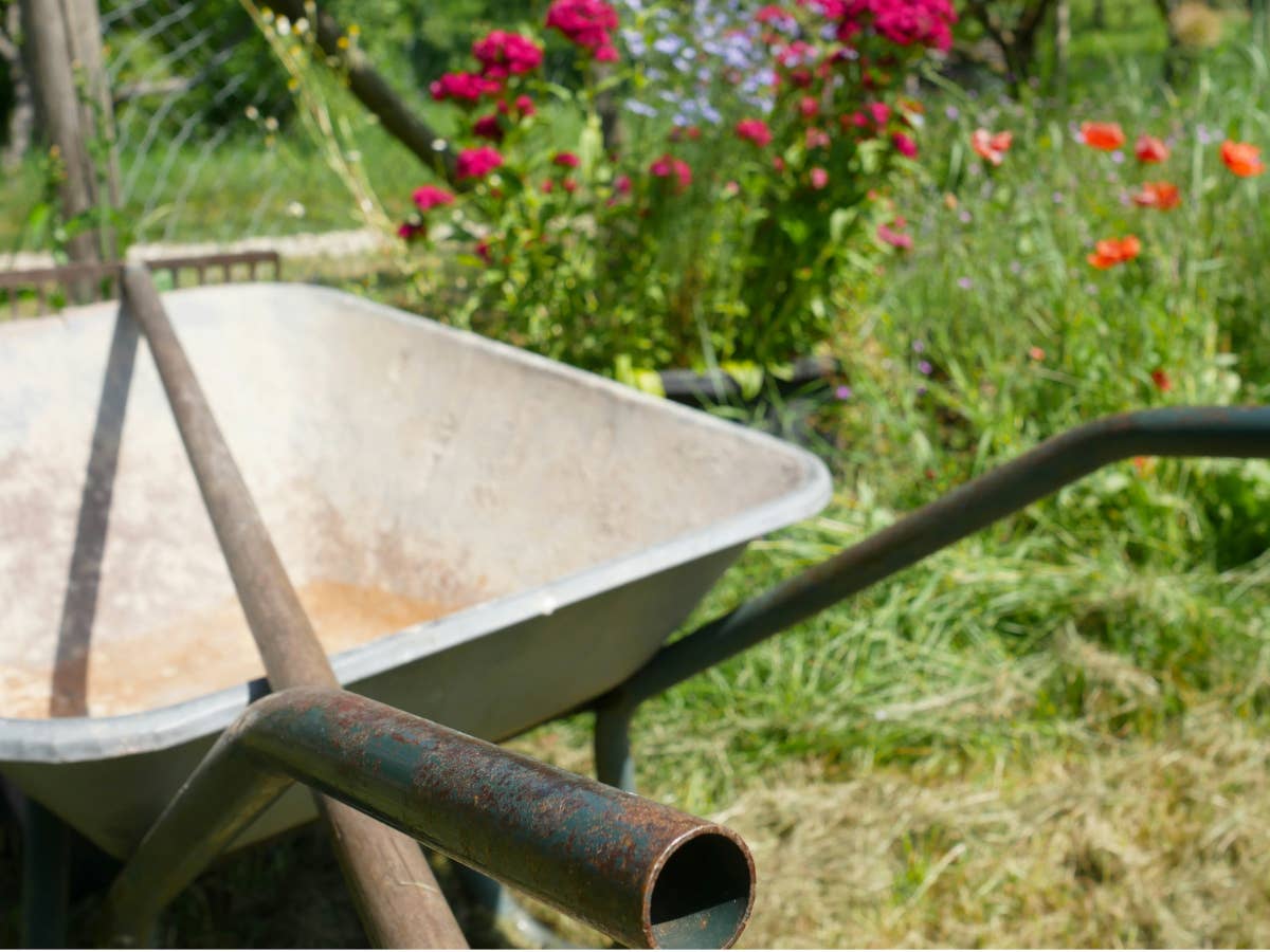 Verboten: Wer das in seinem Garten macht, muss 50.000 Euro Strafe zahlen Verboten: Wer das in seinem Garten macht, muss 50.000 Euro Strafe zahlen