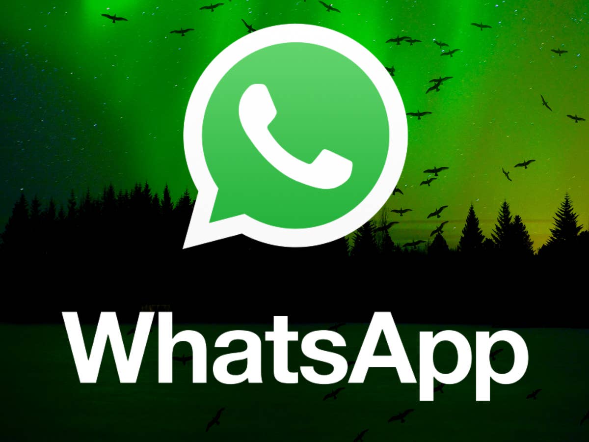 Diese beliebte WhatsApp-Funktion solltest du lieber nicht nutzen
