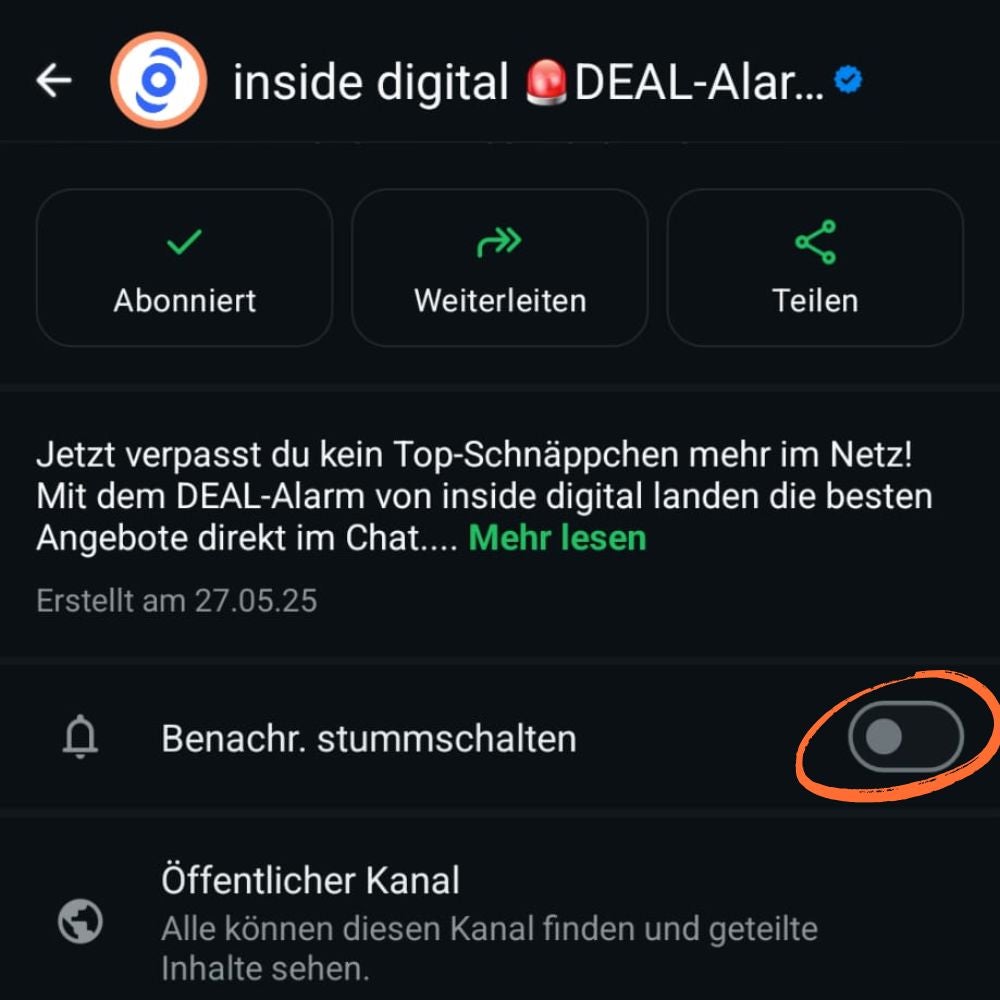Screenshot der Kanal-Infos eines WhtasApp-Kanals