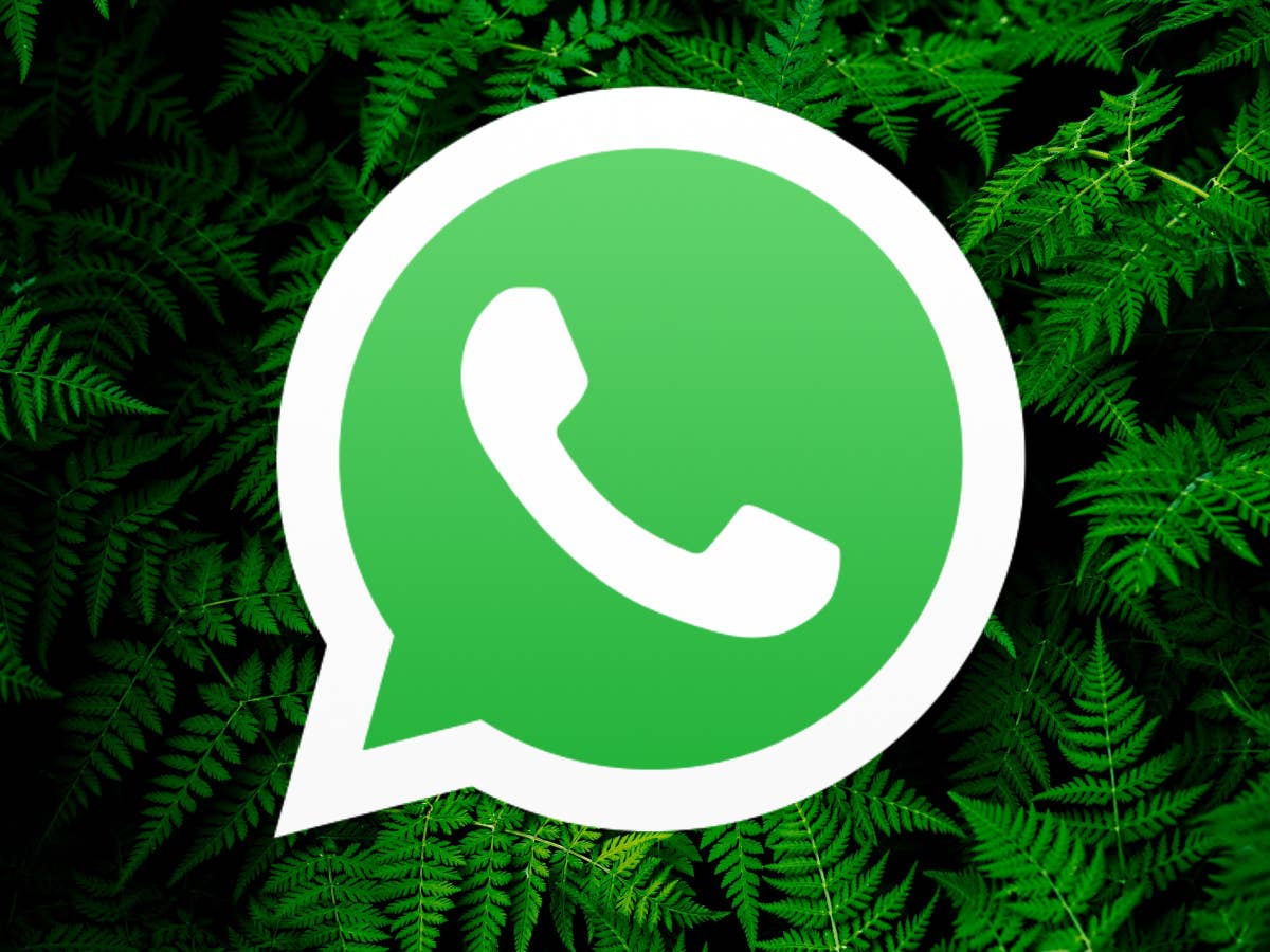 WhatsApp bekommt neue Funktion: So findest du sie