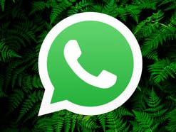 WhatsApp bekommt neue Funktion: So findest du sie