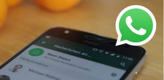 WhatsApp Nachrichten weiterleiten