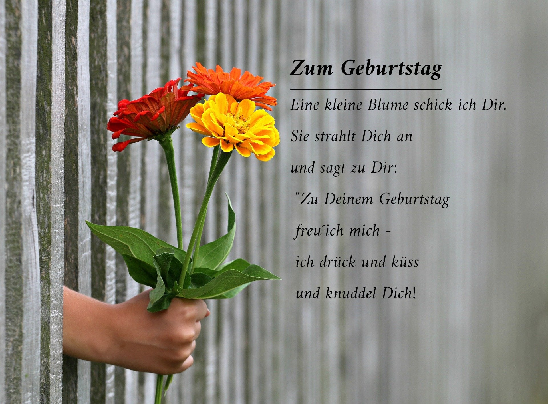 Geburtstagswunsche Bild Whatsapp