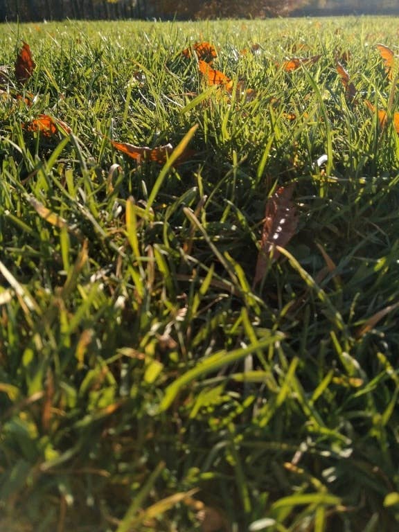 Wiko View Prime im Test: Testfotos