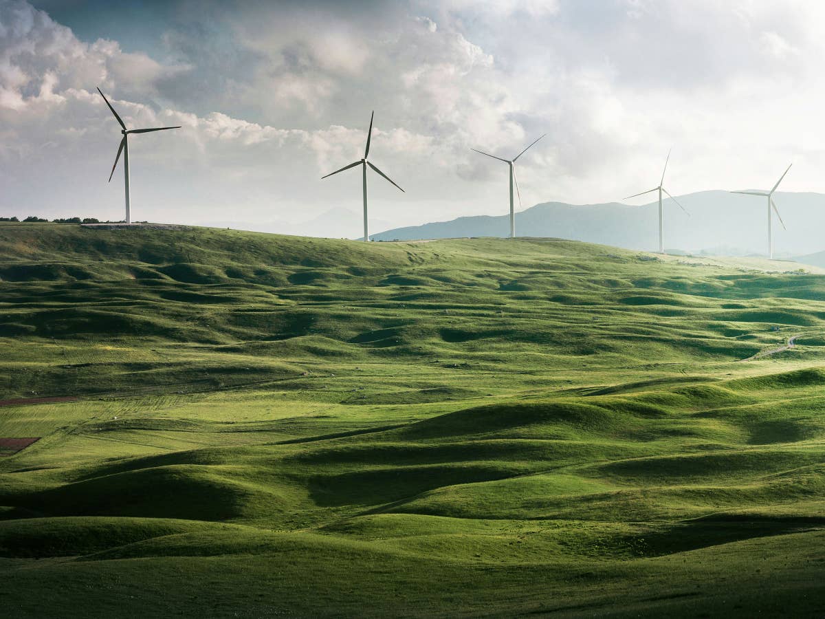 Windräder stehen immer häufiger still und du zahlst dafür