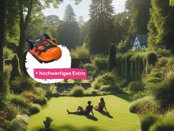 Worx Mähroboter 40 Prozent billiger - Mit diesem starken 189-Euro-Extra günstiger als ohne
