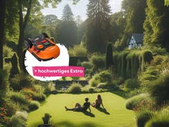 Worx Mähroboter 40 Prozent billiger - Mit diesem starken 189-Euro-Extra günstiger als ohne