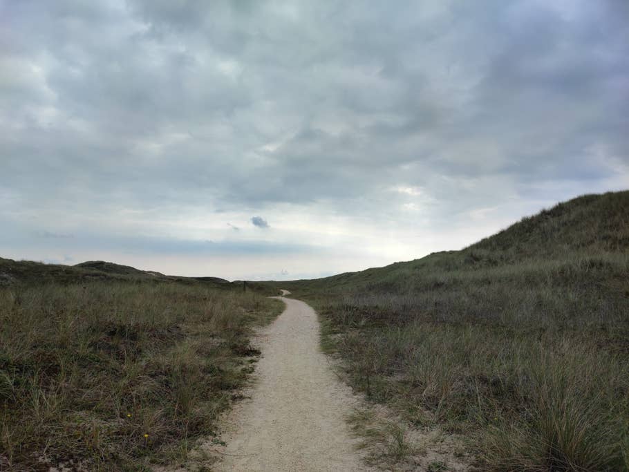 Um mehr Details, wie jeden einzelnen Grashalm einzufangen, kann man den 108 Megapixel Modus aktivieren