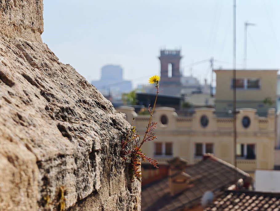 Xiaomi 17 Ultra Testfoto