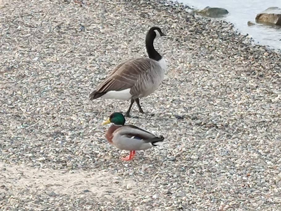 Beim Zoomen muss man sich auf den 10x Digital Zoom verlassen
