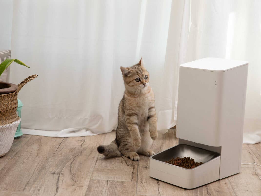 Xiaomi Smart Pet Food Feeder