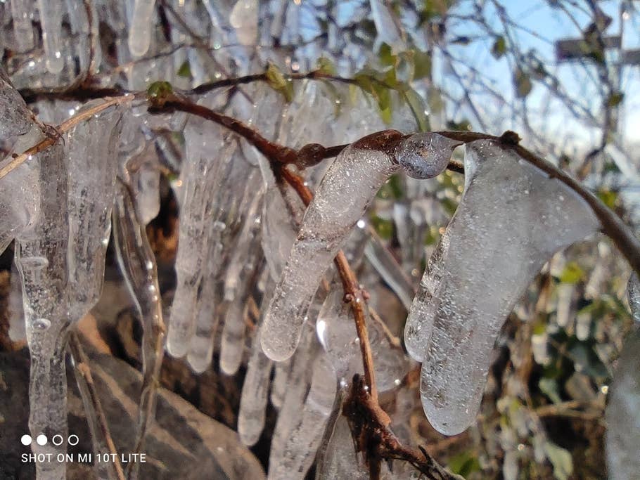 Makro-Kamera des Xiaomi Mi 10T lite