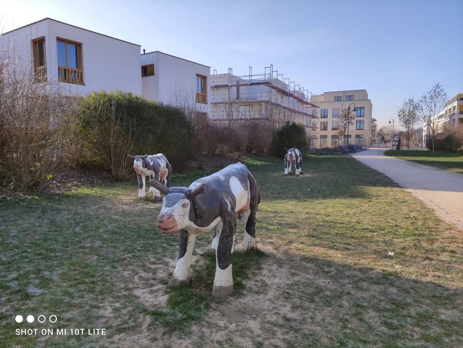 Xiaomi Mi 10T lite Testfoto