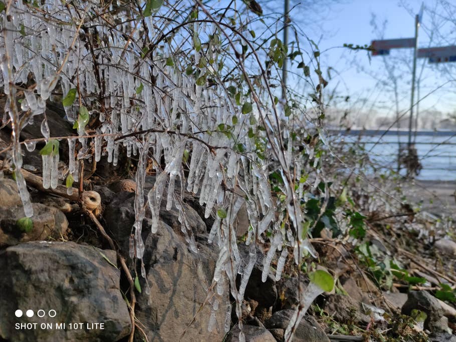 64 Megapixel Hauptkamera des Xiaomi Mi 10T lite im Test